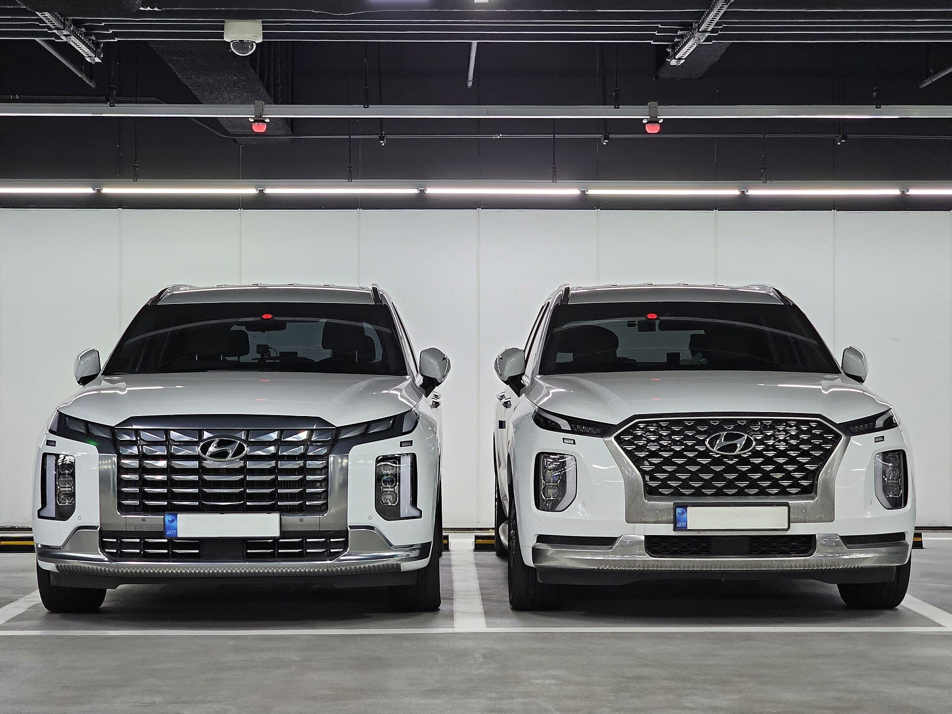 Hyundai Palisade Calligraphy